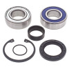 All Balls Racing 03-06 Polaris 340 Classic Drive Shaft Bearing & Seal Kit Lower Shaft - Track - 14-1004 Photo - Primary