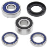 All Balls Racing 75-77 Suzuki TS125 Wheel Bearing Kit - Rear - 25-1383 Photo - Primary