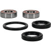 Pivot Works Pw Premium Wheel Bearing - 25-1077-P Photo - Primary