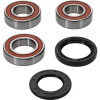 Pivot Works Pw Premium Wheel Bearing - 25-1111-P Photo - Primary