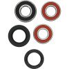 Pivot Works Pw Premium Wheel Bearing - 25-1117-P Photo - Primary