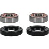 Pivot Works Pw Premium Wheel Bearing - 25-1172-P Photo - Primary