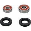 Pivot Works Pw Premium Wheel Bearing - 25-1181-P Photo - Primary