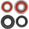 Pivot Works Pw Premium Wheel Bearing - 25-1206-P Photo - Primary