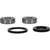 Pivot Works Pw Premium Wheel Bearing - 25-1380-P Photo - Primary
