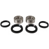 Pivot Works Front Wheel Bearing Kits - PWFWK-H27-001 Photo - Primary
