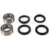 Pivot Works Hon Atv Rwb Kt - PWRWK-H21-600 Photo - Primary