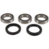 Pivot Works Rmz250/450 Rw Brng Kt 05-07 - PWRWK-S22-400 Photo - Primary