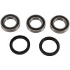 Pivot Works Rw Bearing Kit Yz450F 09-10 - PWRWK-Y09-421 Photo - Primary