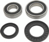 Pivot Works Yam Atv Rw Brng Kt - PWRWK-Y18-030 Photo - Primary
