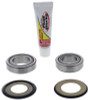 Pivot Works Steering Stem Bearg Kit Hon - PWSSK-H01-521 Photo - Primary