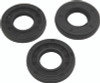 Vertex Pistons Pwc Oil Seal Kit - 622101 Photo - Primary