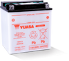 Yuasa YB30L-B Yumicron CX 12 Volt Battery - YUAM22H30 User 1