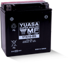 Yuasa YTX16-BS Maintenance Free AGM 12 Volt Battery (Bottle Supplied) - YUAM32X6S User 1