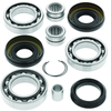 QuadBoss 05-14 Honda TRX500FA FourTrax Foreman Rubicon 4x4 AT (02) Front Diff Bearing & Seal Kit - 413017 Photo - Primary