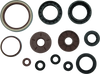 QuadBoss 09-10 Arctic Cat 1000 TRV Oil Seal Set - 564644 User 1 QuadBoss 09-10 Arctic Cat 1000 TRV Oil Seal Set - 564644 User 1