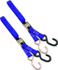 BikeMaster 1in Tiedown - Purple - 100512 Photo - Primary