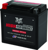 Twin Power YTX14  High Performance Battery Replaces H-D 65948-00 Made in USA - 485002 Photo - Primary
