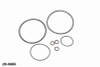 Radium Engineering AOS-R O-Ring Service Kit - 20-0685 Photo - Primary