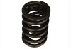 Ford Racing Replacement Valve Springs (TVS-1734) - Set Of 8 - M-6513-17348 Photo - Unmounted