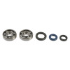 Athena 80-06 Honda CR 125 R Main Bearing & Seal Kit - P400210444007 Photo - Primary