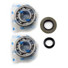 Athena 03-04 Suzuki RM 250 Main Bearing & Seal Kit - P400510444035 Photo - Primary