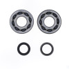 Athena 05-08 Suzuki RM 250 Main Bearing & Seal Kit - P400510444049 Photo - Primary
