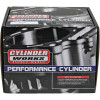 Cylinder Works 19-20 Honda CRF 450 L 450cc Standard Bore Cylinder 96mm - 10010-1 Photo - Primary