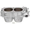 Cylinder Works 2016 Polaris ACE 900 EPS 900cc Standard Bore Cylinder 93mm - 60004 Photo - Primary