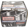 Cylinder Works 2024 Gas-Gas EC 500 F 500cc Standard Bore Cylinder 95mm - CW50010 Photo - Primary