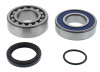 All Balls Racing 2021 Arctic Cat Blast 4000 Jack Shaft Bearing & Seal Kit Upper Shaft - 14-1073 Photo - Primary