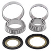 All Balls Racing 98-02 Kawasaki ZX600 (ZX-6R) Steering Bearing Kit - 22-1038 Photo - Primary