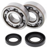 All Balls Racing 85-02 Honda CR80R Crank Shaft Bearing Kit - 24-1002 Photo - Primary