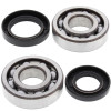 All Balls Racing 85-86 Honda ATC250R Crank Shaft Bearing Kit - 24-1005 Photo - Primary