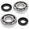All Balls Racing 84-87 Kawasaki KXT250 Tecate Crank Shaft Bearing Kit - 24-1009 Photo - Primary
