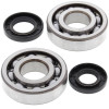 All Balls Racing 91-94 Kawasaki KDX250 Crank Shaft Bearing Kit - 24-1010 Photo - Primary
