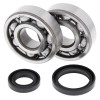 All Balls Racing 89-08 Suzuki RM125 Crank Shaft Bearing Kit - 24-1016 Photo - Primary