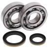 All Balls Racing 96-02 Suzuki RM250 Crank Shaft Bearing Kit - 24-1021 Photo - Primary