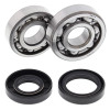 All Balls Racing 93-01 Yamaha YZ80 Crank Shaft Bearing Kit - 24-1023 Photo - Primary