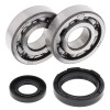 All Balls Racing 91-97 Yamaha WR250 Crank Shaft Bearing Kit - 24-1027 Photo - Primary