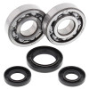 All Balls Racing 98-00 Yamaha YZ250 Crank Shaft Bearing Kit - 24-1028 Photo - Primary
