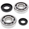 All Balls Racing 01-23 Yamaha YZ250 Crank Shaft Bearing Kit - 24-1029 Photo - Primary