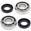 All Balls Racing 03-06 Kawasaki KFX80 Crank Shaft Bearing Kit - 24-1035 Photo - Primary