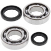 All Balls Racing 85-92 Suzuki LT-250R Crank Shaft Bearing Kit - 24-1037 Photo - Primary