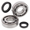 All Balls Racing 87-90 Suzuki LT-500R Crank Shaft Bearing Kit - 24-1038 Photo - Primary