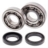 All Balls Racing 88-06 Yamaha YFS200 Blaster Crank Shaft Bearing Kit - 24-1043 Photo - Primary