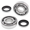 All Balls Racing 83-90 Kawasaki KDX200 Crank Shaft Bearing Kit - 24-1044 Photo - Primary