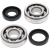 All Balls Racing 74-83 Yamaha DT100 Crank Shaft Bearing Kit - 24-1063 Photo - Primary