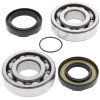 All Balls Racing 75-78 Yamaha DT400 Crank Shaft Bearing Kit - 24-1066 Photo - Primary