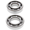 All Balls Racing 14-15 Arctic Cat 550 TRV LTD Crank Shaft Bearing Kit - 24-1079 Photo - Primary